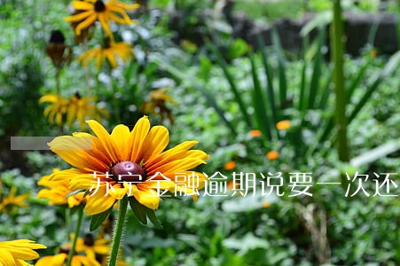 苏宁金融逾期说要一次还完 苏宁金融逾期说要一次还完