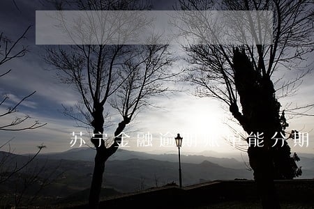 苏宁金融逾期账单能分期吗 苏宁金融逾期账单能分期吗