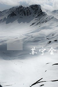 苏宁金融逾期还清再借 苏宁金融逾期还清再借