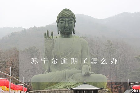 苏宁金逾期了怎么办 苏宁金逾期了怎么办