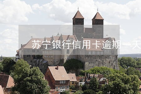 苏宁银行信用卡逾期一天会怎样