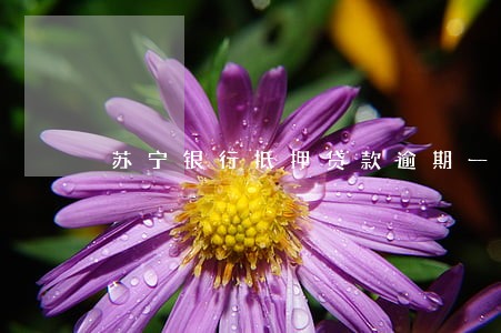 苏宁银行抵押贷款逾期一天 苏宁银行抵押贷款逾期一天