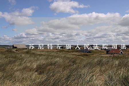 苏尼特左旗人民法院司法警察大队 苏尼特左旗人民法院司法警察大队