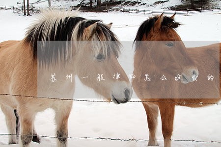 苏州一般律师怎么收费的