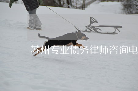 苏州专业债务律师咨询电话 苏州专业债务律师咨询电话