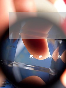 苏州专业债务律师收费标准 苏州专业债务律师收费标准