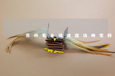 苏州专业法律咨询哪家好 苏州专业法律咨询哪家好