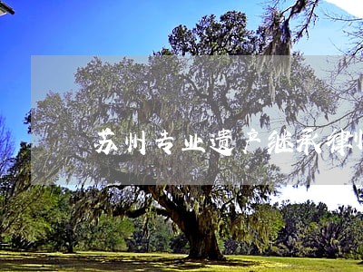 苏州专业遗产继承律师咨询平台 苏州专业遗产继承律师咨询平台