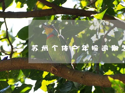 苏州个体户年报逾期怎么网上补报 苏州个体户年报逾期怎么网上补报