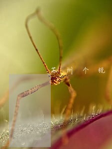 苏州个税零申报逾期 苏州个税零申报逾期