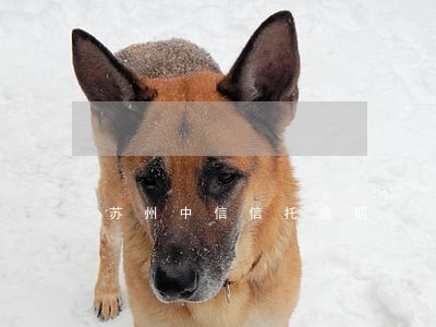 苏州中信信托逾期 苏州中信信托逾期