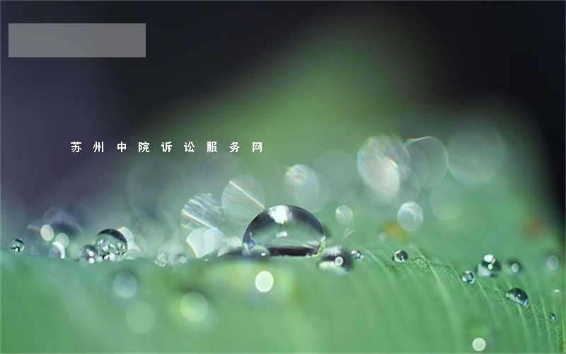 苏州中院诉讼服务网