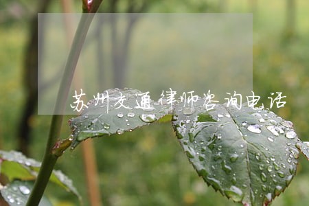 苏州交通律师咨询电话 苏州交通律师咨询电话