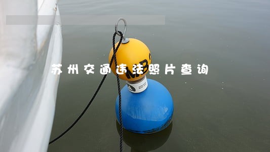 苏州交通违法照片查询 苏州交通违法照片查询