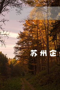 苏州企业劳动合同纠纷律师价格 苏州企业劳动合同纠纷律师价格