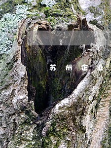 苏州企业法律咨询app 苏州企业法律咨询app