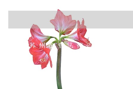 苏州企业法律咨询合同