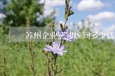 苏州企业法律顾问多少钱 苏州企业法律顾问多少钱