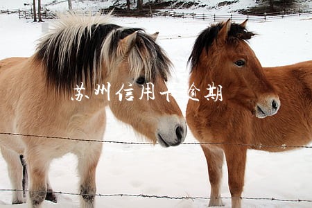 苏州信用卡逾期