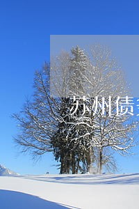 苏州债务律师事务所 苏州债务律师事务所