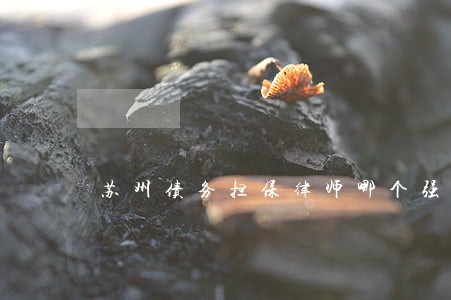 苏州债务担保律师哪个强