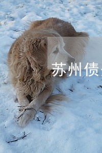 苏州债务纠纷律师咨询咨询 苏州债务纠纷律师咨询咨询