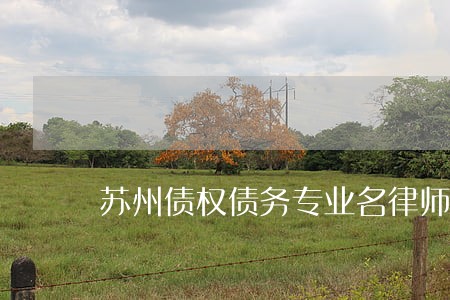 苏州债权债务专业名律师 苏州债权债务专业名律师