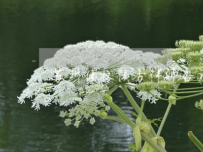 苏州债权债务律师咨询 苏州债权债务律师咨询
