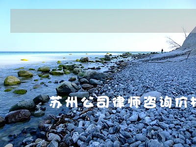 苏州公司律师咨询价格 苏州公司律师咨询价格