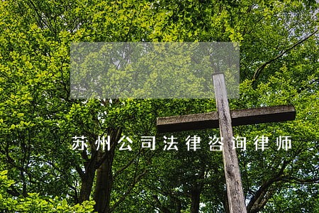 苏州公司法律咨询律师 苏州公司法律咨询律师
