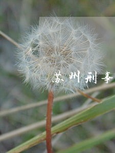 苏州刑事律师事务所地址 苏州刑事律师事务所地址