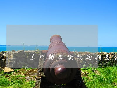 苏州助学贷款逾期怎么补救 苏州助学贷款逾期怎么补救