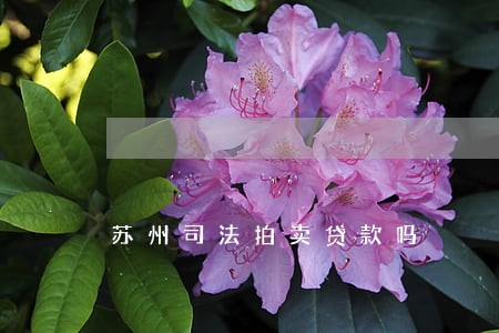 苏州司法拍卖贷款吗 苏州司法拍卖贷款吗