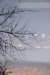 苏州君诚法律咨询公司 苏州君诚法律咨询公司