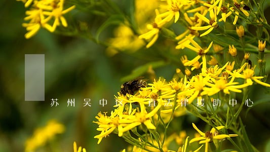 苏州吴中区甪直法律援助中心