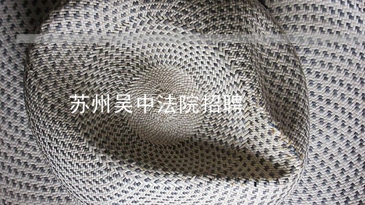 苏州吴中法院招聘 苏州吴中法院招聘