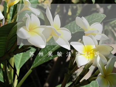 苏州吴敏法院起诉 苏州吴敏法院起诉