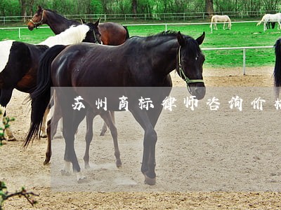 苏州商标律师咨询价格 苏州商标律师咨询价格