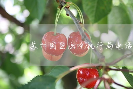 苏州园区法院执行局电话 苏州园区法院执行局电话