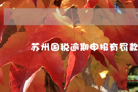 苏州国税逾期申报有罚款吗 苏州国税逾期申报有罚款吗