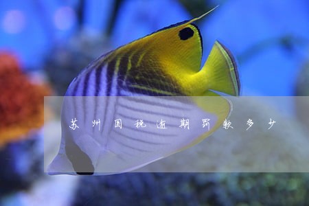 苏州国税逾期罚款多少 苏州国税逾期罚款多少