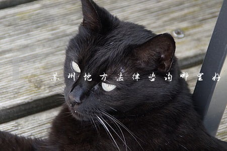 苏州地方法律咨询哪里好 苏州地方法律咨询哪里好