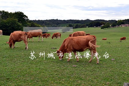 苏州城市违法曝光台 苏州城市违法曝光台