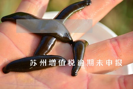 苏州增值税逾期未申报 苏州增值税逾期未申报