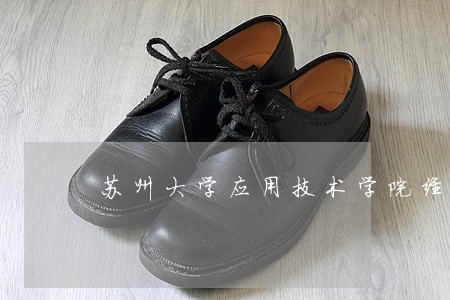 苏州大学应用技术学院经济法概论 苏州大学应用技术学院经济法概论