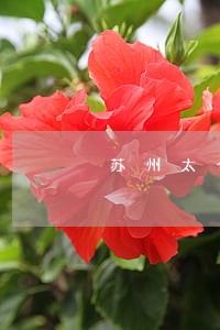 苏州太仓复杂财产分割律师事务所 苏州太仓复杂财产分割律师事务所