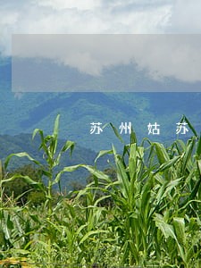 苏州姑苏区房地产律师 苏州姑苏区房地产律师