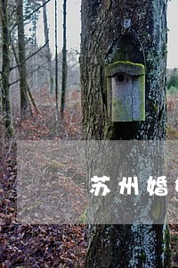 苏州婚姻家庭咨询律师 苏州婚姻家庭咨询律师