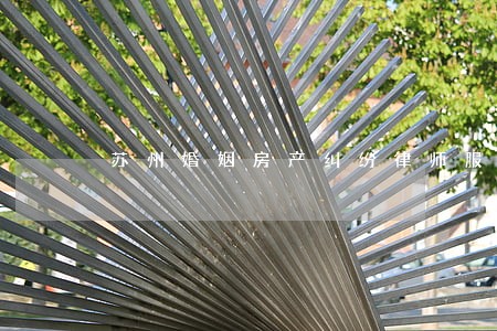 苏州婚姻房产纠纷律师服务网站 苏州婚姻房产纠纷律师服务网站