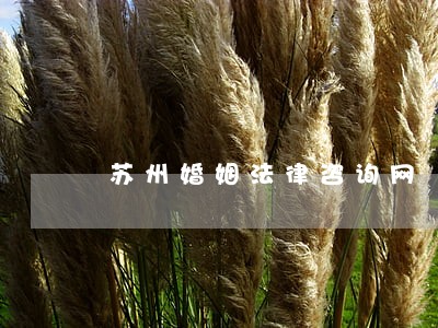 苏州婚姻法律咨询网 苏州婚姻法律咨询网
